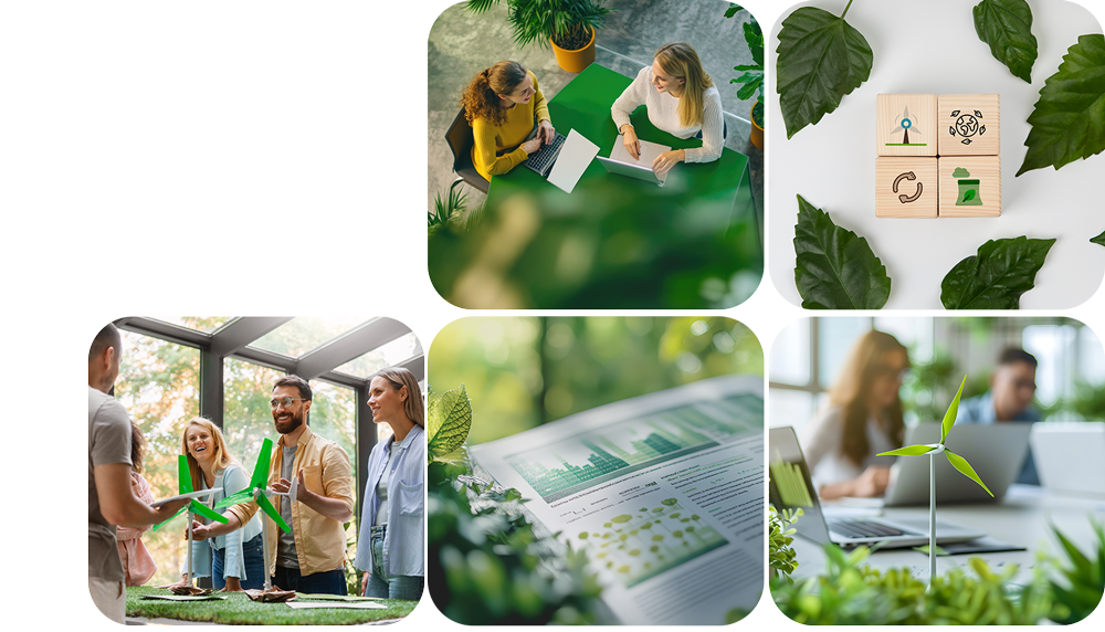 Zielony Kompas - eksperci