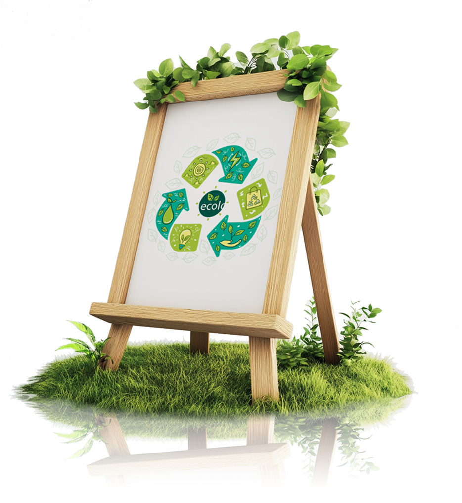 Zielony Kompas - misja fundacji